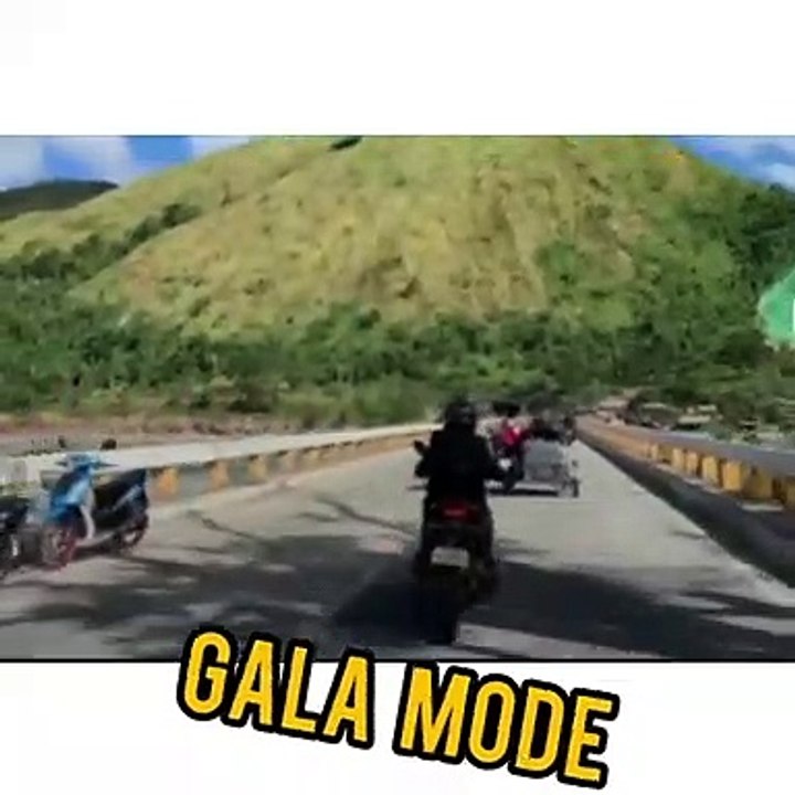 gala