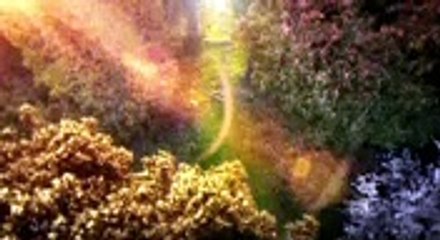 GÊNESIS  Capitulo  40  HDTV Completo