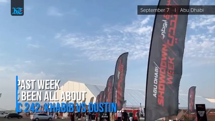 Ufc Reigns In Abu Dhabi - Ufc 242