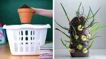 14 Clever Plant Hacks That Will Really Grow on You!