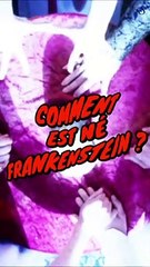 Comment est né Frankenstein  ?