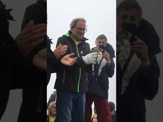 Quim Torra allibera un falcó al Puigsacalm