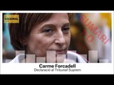  SUMARI 1-O | CARME FORCADELL