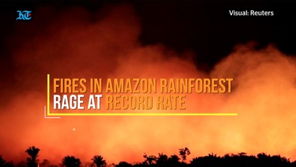 Fires in Amazon rainforest rage at record rate