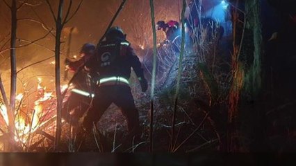 전남 곡성에서 산불..."등산객 실화 추정" / YTN