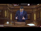 Discurs de Pedro Sánchez al Congrés dels Diputats