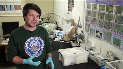 Ценная находка британских учёных