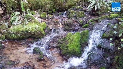 Nolwenn Quero,  chargée de  mission au conservatoire de l’espace  naturel de Nouvelle Aquitaine