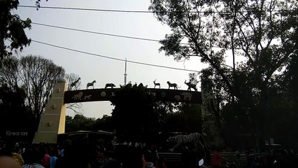 Madhya Pradesh Indore Zoo  Mp vijay