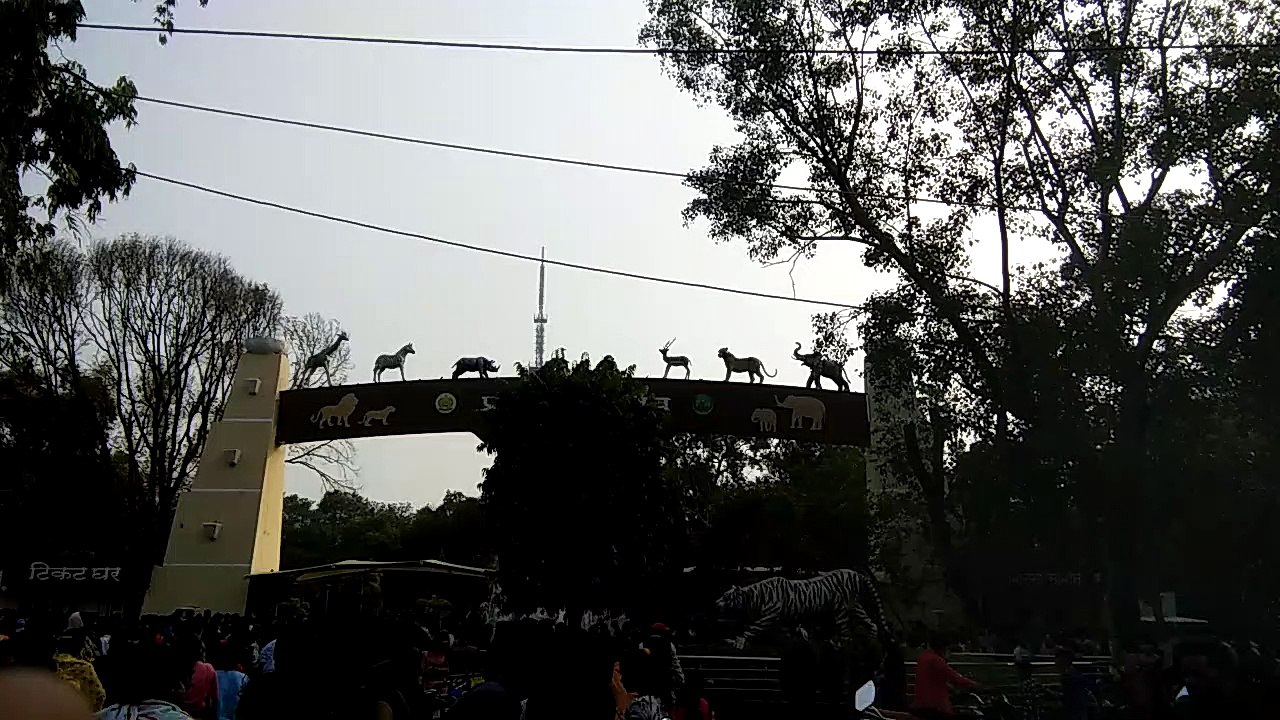 Madhya Pradesh Indore Zoo  Mp vijay