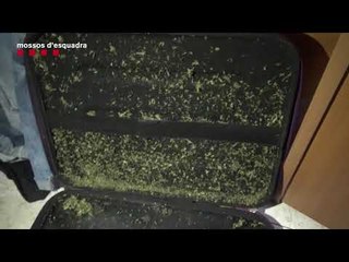 Desmantellen la màfia albanesa especialitzada en robatoris amb força a domicilis