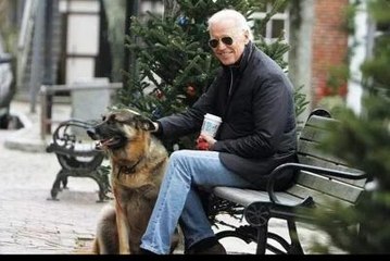 Biden’s German Shepherds Involved in Biting Incident at White House
