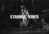 Diver Dan   Strange Vines