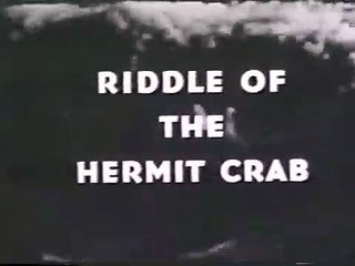 Diver Dan    Riddle of the Hermit Crab