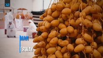 Ajman Liwa And Dates Festival For Upload