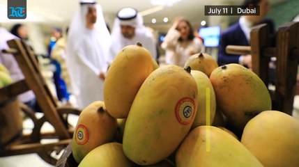 Enjoy three-day festival of Pakistani mangoes