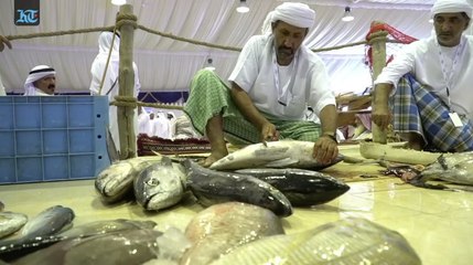 Sharjah conducts fishing heritage festival
