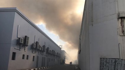 Whatsapp Video 2019-01-06 At 11.05.47 Am