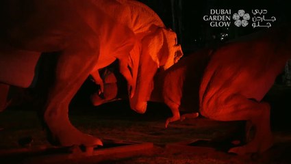 Sponsor Content - Dubai Garden Glow