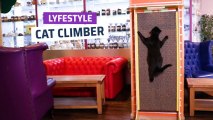 [CH] Cat Climber, lo último en diversión para gatos