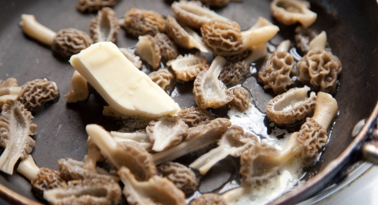 5 Delicious Spring Mushrooms and How to Cook Them