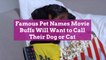 Famous Pet Names Movie Buffs Will Want to Call Their Dog or Cat