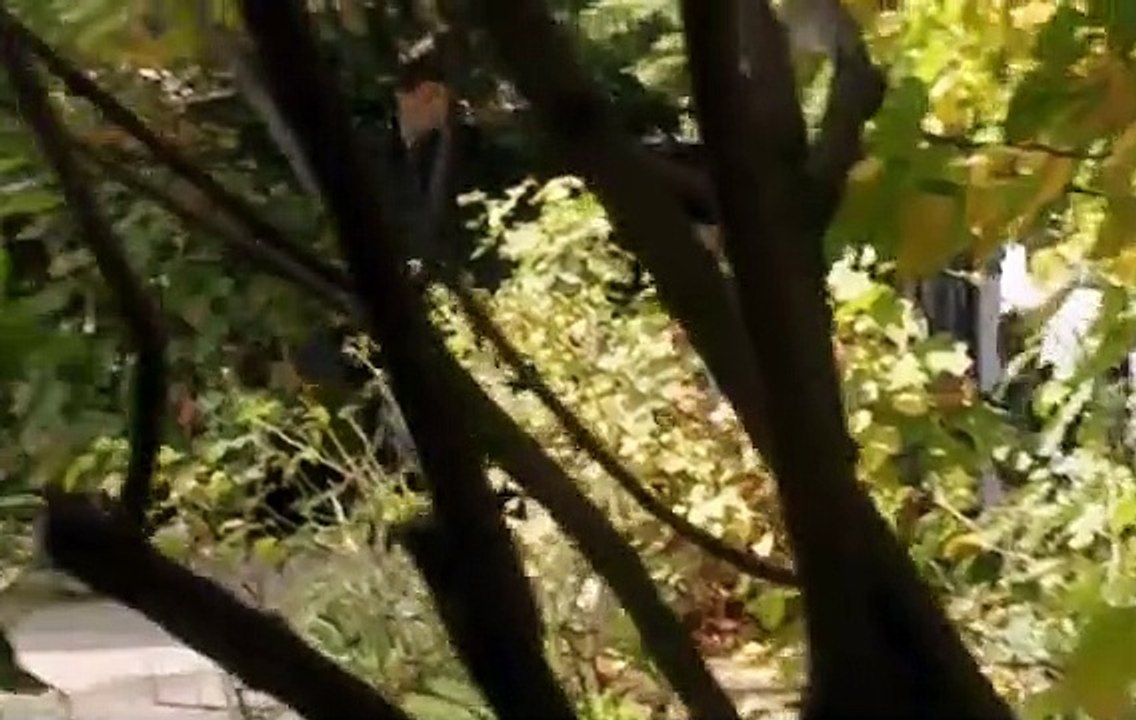 Stingers S07E18
