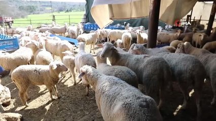 İzmir'de orman köylerine yüzleri güldüren 3 Milyon TL'lik ORKÖY desteği