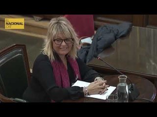 JUDICI PROCÉS | Sans, d'Artyplan: "No he visto nunca esos carteles"