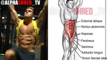 Best 10 LOWER ABS Exercises to Build Sculpted SIX-PACK FAST  100% RESULTS