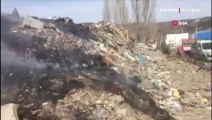 Ankara'da yakılmış köpek ölüsü bulundu