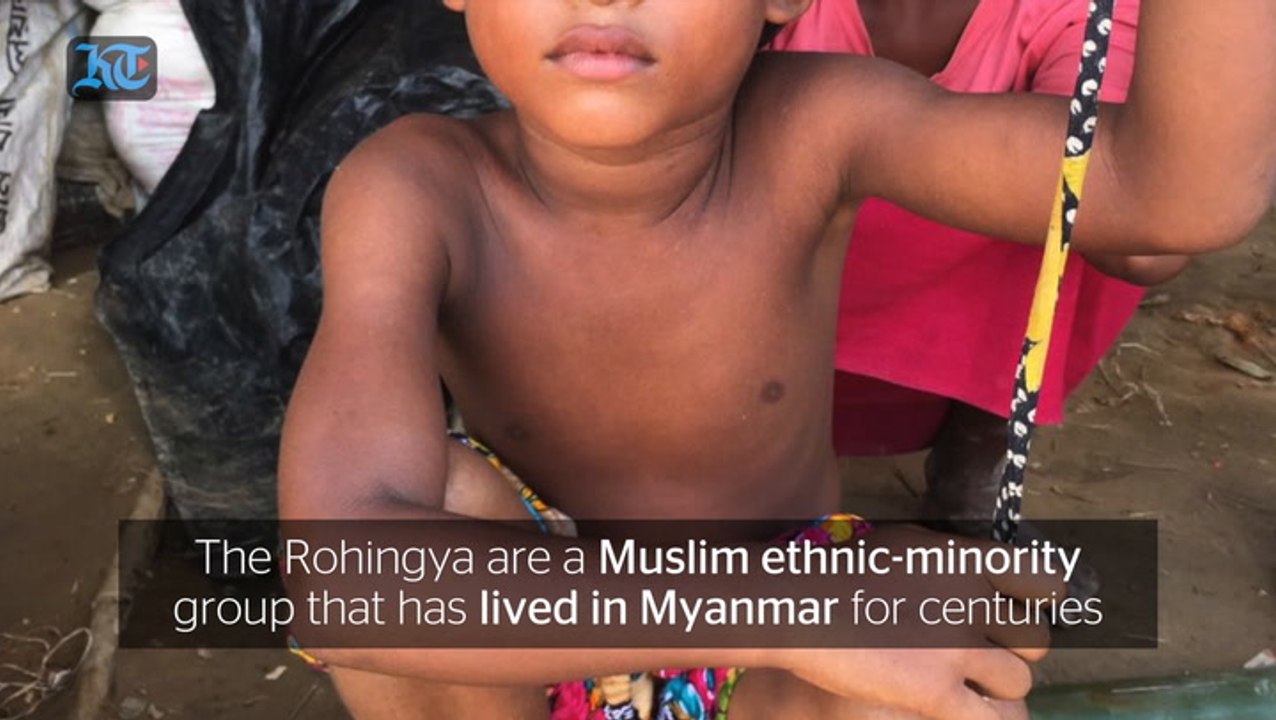 Rohingya Report