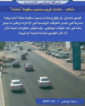 Palm tree nearly misses speeding vehicle on UAE road