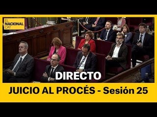 EN DIRECTO | Juicio al procés: sesión 25