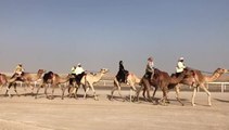 Riders embark on a journey across the desert at Hamdan bin Mohammed Heritage Center's 3rd edition of UAE Desert Camel Trek till January 27