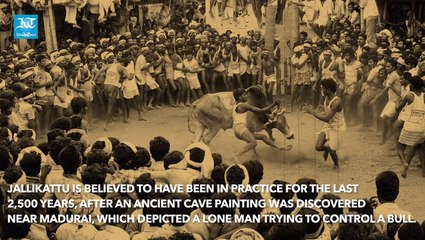 What is Jallikattu? 🐂