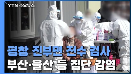 평창 진부면 전수 검사...부산·울산 등 산발적 집단 감염 / YTN
