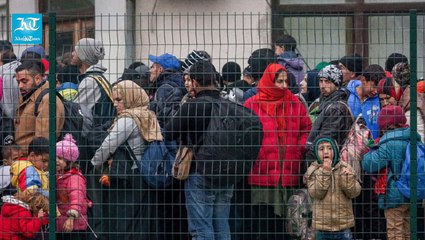 Taking the bold winter challenge to understand plight of refugees