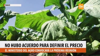 No hubo acuerdo para definir el precio del tabaco y se estableció un nuevo cuarto intermedio