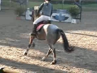 moi et nico le 10 fevrier sur la e1