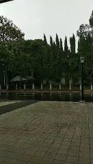 rainy days