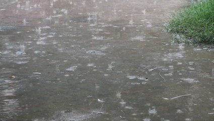 The rhythm of falling rain