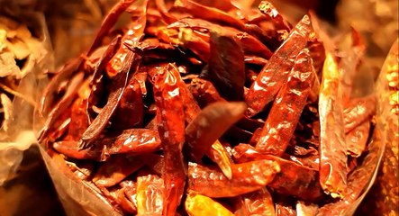 Inside Dubai Spice Souq