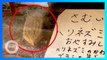 Kebun binatang Jepang gantikan landak dengan sikat - TomoNews