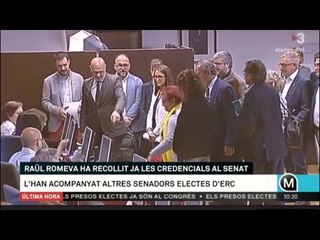 Romeva recull les credencials al Senat
