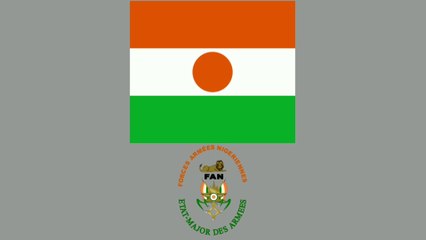 NIGER Deadliest Military Power 2021 | ARMED FORCES | Air Force | Army | Navy | #niger