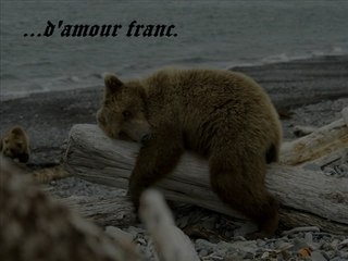 Diaporam sur ma petite vie personnelle_1