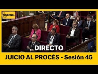 EN DIRECTO | Juicio al procés: sesión 45
