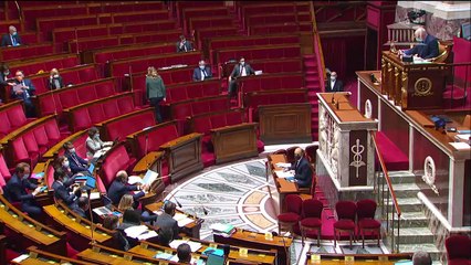 2ème séance : Article 1er de la Constitution et préservation de l’environnement - Mercredi 10 mars 2021
