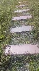 hiking
